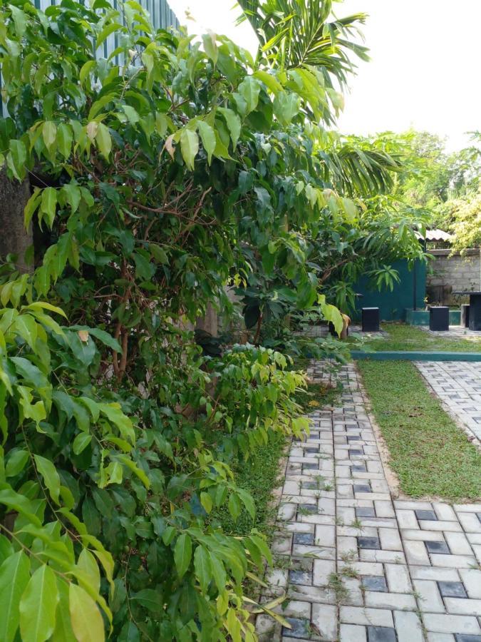 Thomasha Homestay Wellawaya Buitenkant foto
