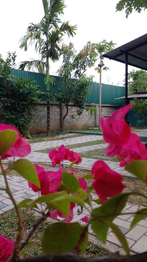 Thomasha Homestay Wellawaya Buitenkant foto